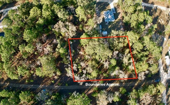 Pictures of Land property located at TBD NE 16th Lane, Williston Highlands, FL 32696 for sales - image #1