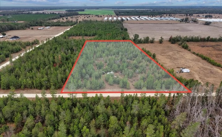 Pictures of Land property located at Vacant NE Lily Ave., Lee, FL 32059 for sales - image #1