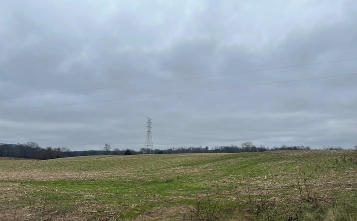 Pictures of Land property located at 332 L W Neal Rd, Hardyville, KY 42746 for sales - image #1