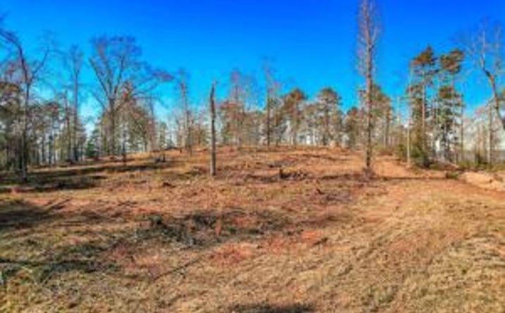 Pictures of Land property located at 490 Abundance Way, Appling, GA 30802 for sales - image #1