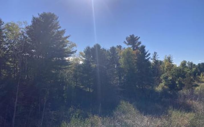 Pictures of Land property located at 00 Rugar Park Way, Plattsburgh West, NY 12901 for sales - image #1