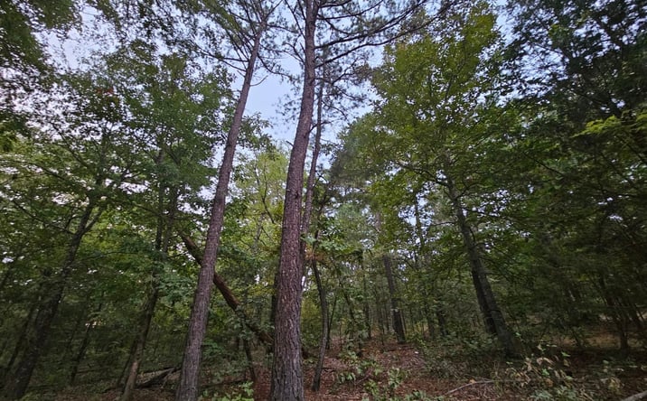 Pictures of Land property located at S 600 Road, Stilwell, OK 74960 for sales - image #1