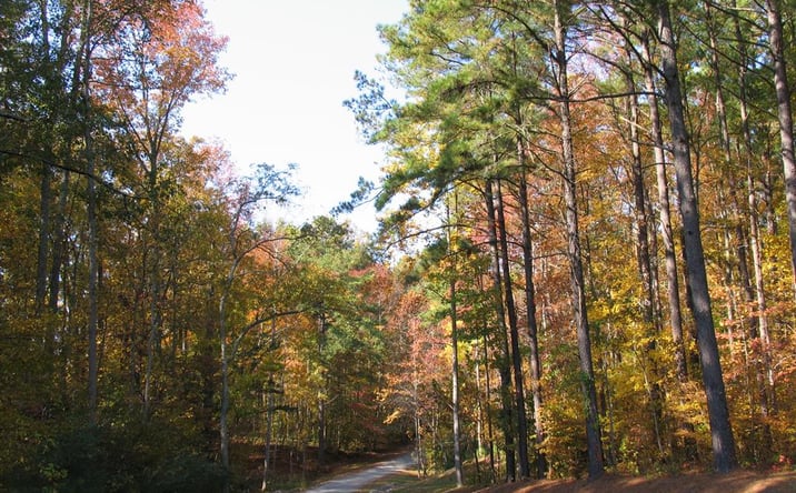 Pictures of Land property located at 12 Glenwood Lane, Irvington, VA 22480 for sales - image #1