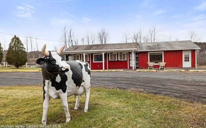 Pictures of Retail property located at 11051 Route 9W, Coxsackie, NY 12051 for sales - image #1