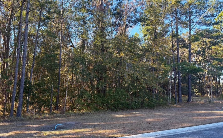 Pictures of Land property located at Sanctuary Harbour Trl, Waverly, GA 31565 for sales - image #1