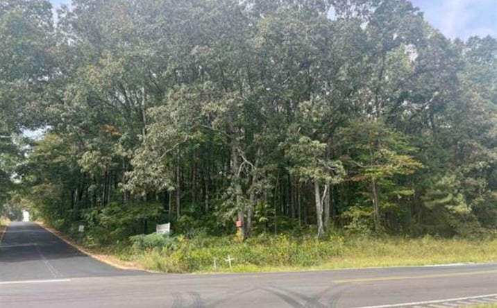 Pictures of Land property located at 00 Hwy 431, Roanoke, AL 36274 for sales - image #1