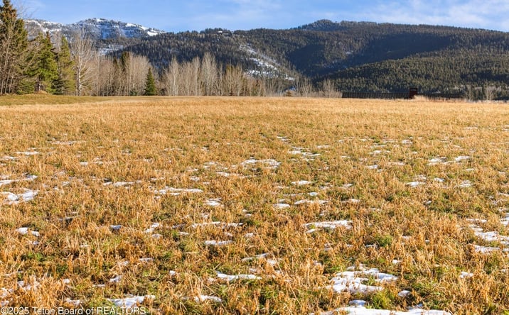 Pictures of Land property located at 125 Yellow Rose Dr, Alta, WY 83414 for sales - image #1