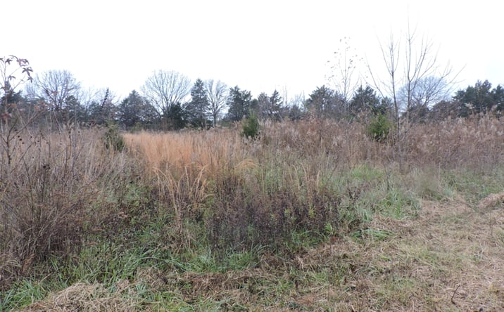 Pictures of Land property located at OFF HWY 378, Waldron, AR 72958 for sales - image #1