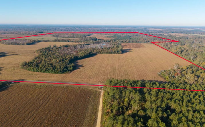 Pictures of Land property located at 2 S Hwy 17, 31309, GA 30434 for sales - image #1