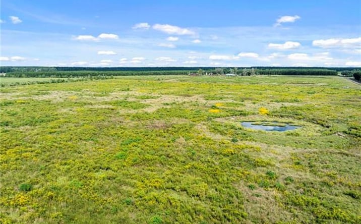 Pictures of Land property located at 0 Hauser Road, DeRidder, LA 70652 for sales - image #1