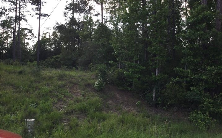 Pictures of Land property located at 0 Small Oaks Road, Leesville, LA 71446 for sales - image #1
