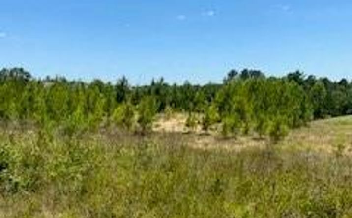 Pictures of Land property located at 0 Stanley Rd, Leesville, LA 71446 for sales - image #1