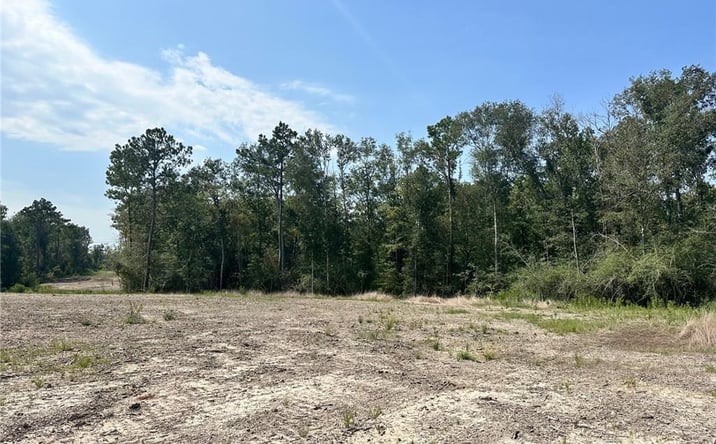 Pictures of Land property located at 0 Hecker Road, Iowa, LA 70647 for sales - image #1