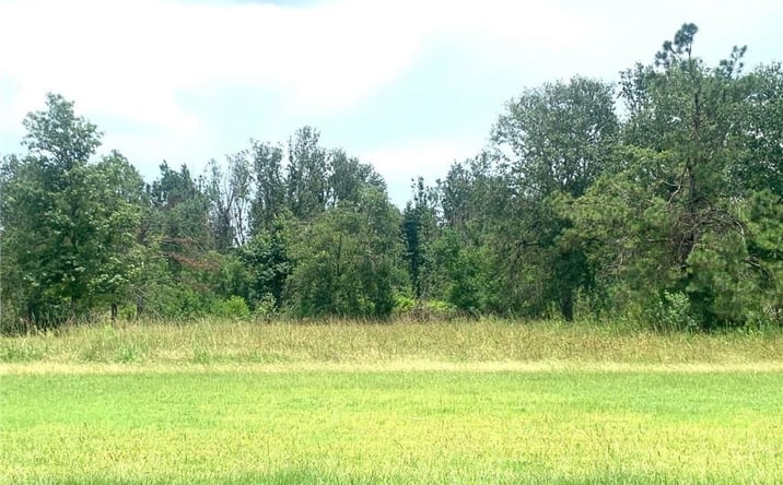Pictures of Land property located at Ridgeway Dr, Ragley, LA 70657 for sales - image #1