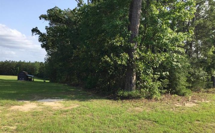 Pictures of Land property located at 0 Panhandle Road, DeQuincy, LA 70633 for sales - image #1