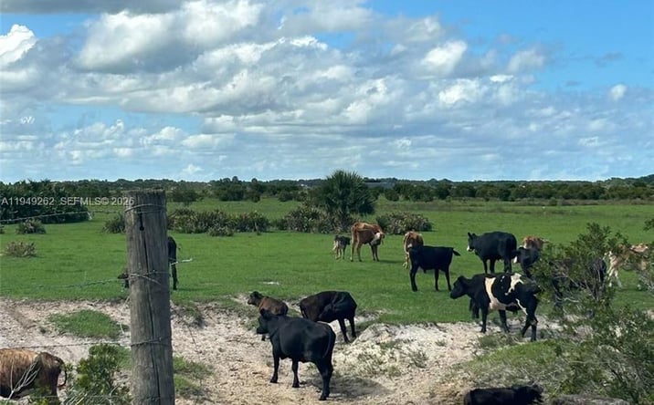 Pictures of Land property located at 27325 NW 72, Okeechobee, FL 34972 for sales - image #1