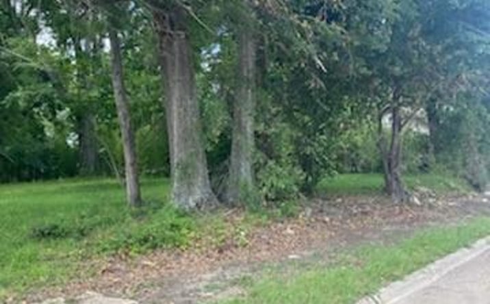 Pictures of Land property located at 116 E Harriet St, Leesville, LA 71446 for sales - image #1
