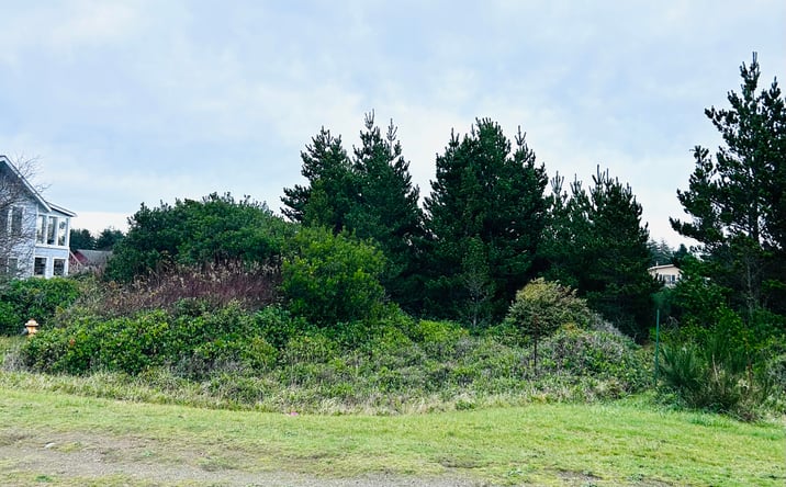 Pictures of Land property located at 568 Point Brown Ave NE, Ocean Shores, WA 98569 for sales - image #1