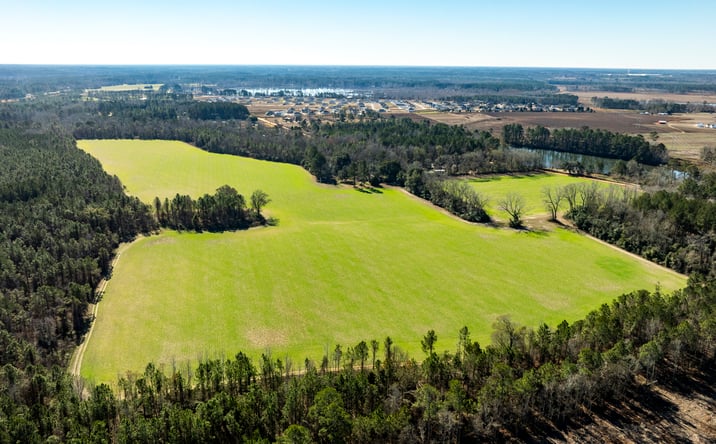 Pictures of Land property located at Sam Tillman Rd, Statesboro, GA 30458 for sales - image #1