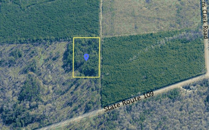 Pictures of Land property located at TBD Off Hwy 109, Singer, LA 70634 for sales - image #1