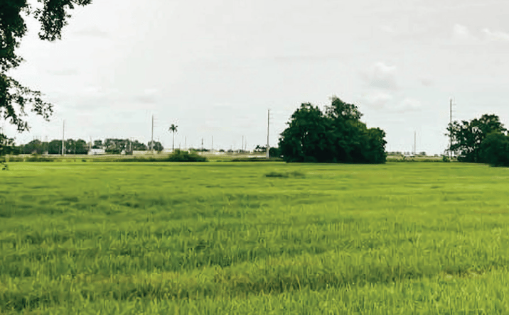 Pictures of Land property located at 2444 FL-15, Belle Glade, FL 33430 for sales - image #1