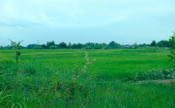 Pictures of Land property located at 202 W Hwy 90, Iowa, LA 70647 for sales - image #1