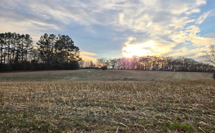 Pictures of Land property located at Newt Rd, Albemarle, NC 28001 for sales - image #1
