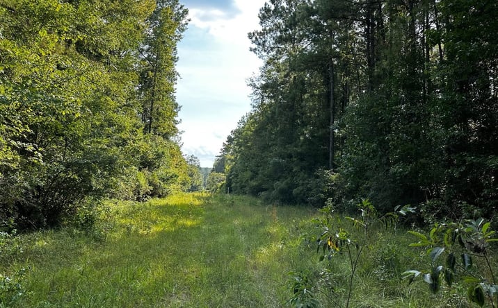 Pictures of Land property located at 0 Benndale Road, Wiggins, MS 39577 for sales - image #1