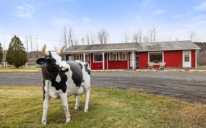 Pictures of Mixed Use property located at 11051 State Rte 9w, Coxsackie, NY 12051 for sales - image #1