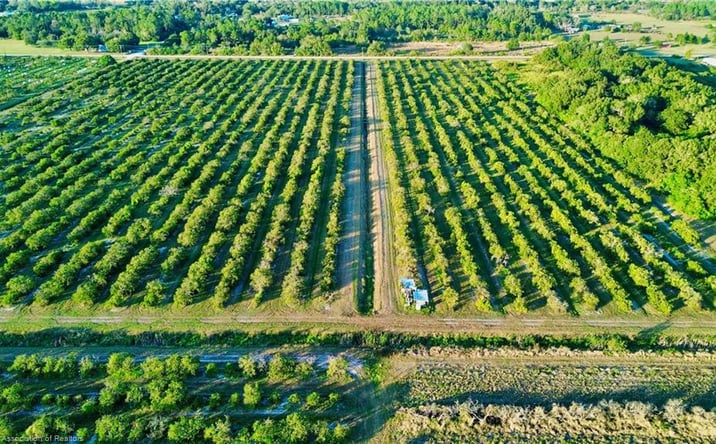 Pictures of Land property located at 2233 Hicks Rd, Lorida, FL 33857 for sales - image #1