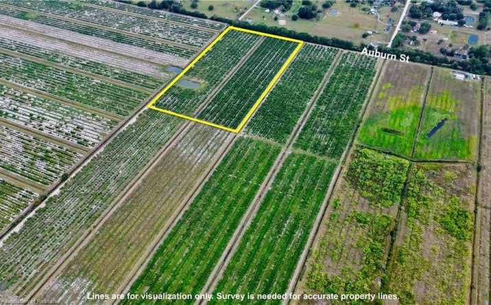 Pictures of Land property located at 3288 Auburn St, Lorida, FL 33857 for sales - image #1