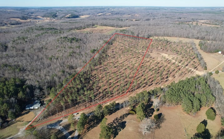 Pictures of Land property located at 6115 Gilchrist Road, Cypress Inn, TN 38452 for sales - image #1