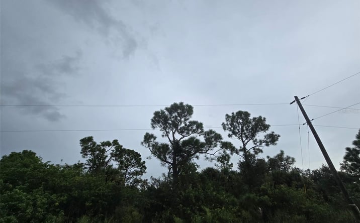 Pictures of Land property located at Newman Dr, North Port, FL 34288 for sales - image #1
