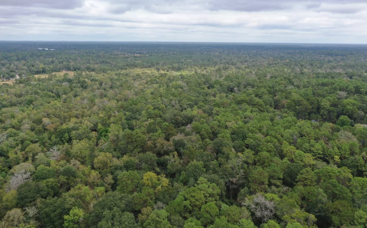 Pictures of Land, Special Purpose property located at Stella Ln, Tomball, TX 77375 for sales - image #1