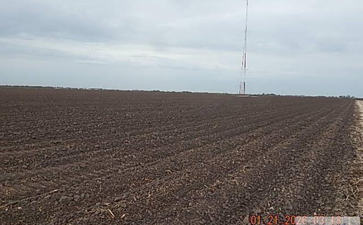 Pictures of Land property located at CR 3450 E Bush Rd, Raymondville, TX 78580 for sales - image #1