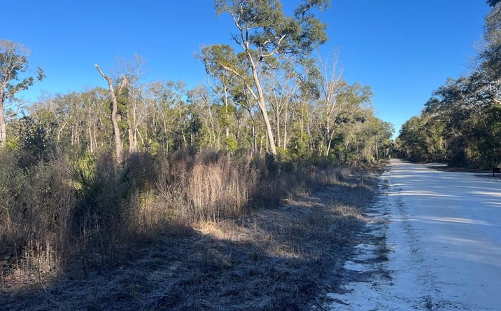 Pictures of Land property located at NE 673rd St, Old Town, FL 32680 for sales - image #1
