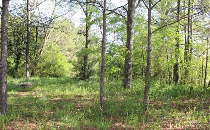 Pictures of Land property located at 1374 Co Rd 490, Cullman, AL 35055 for sales - image #1