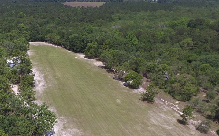 Pictures of Land property located at 0 Ben Grady Collins Rd, Portal, GA 30450 for sales - image #1