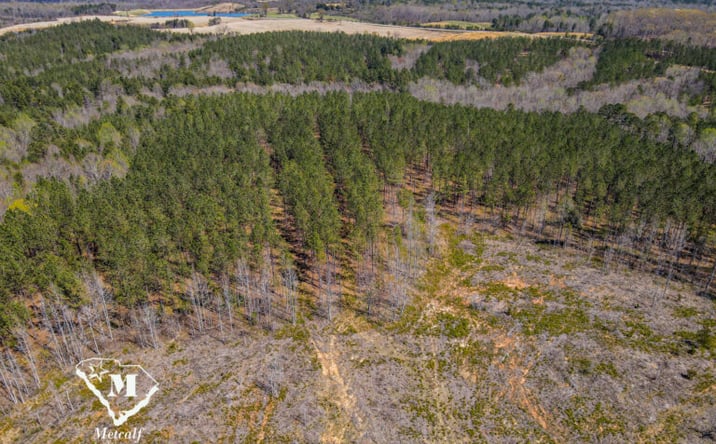 Pictures of Land property located at Dawkins Rd, Pacolet, SC 29372 for sales - image #1