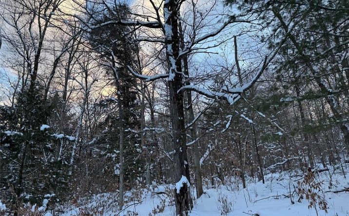 Pictures of Land property located at Starlight Road, Thompson, NY 12701 for sales - image #1