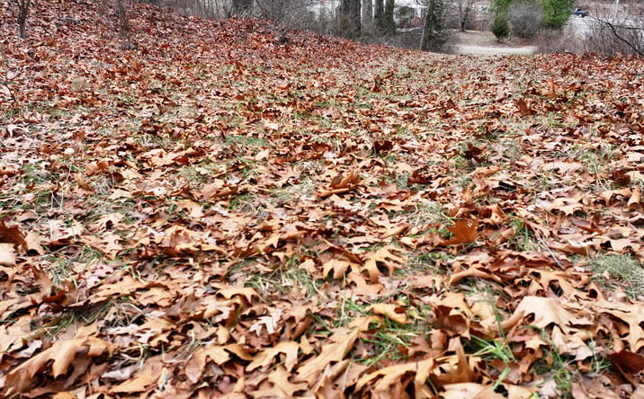 Pictures of Land property located at 2567 Reservoir St, Harrisonburg, VA 22801 for sales - image #1
