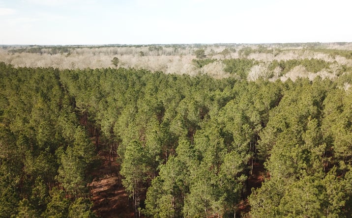Pictures of Land property located at Countree Road, Zwolle, LA 71486-2798 for sales - image #1
