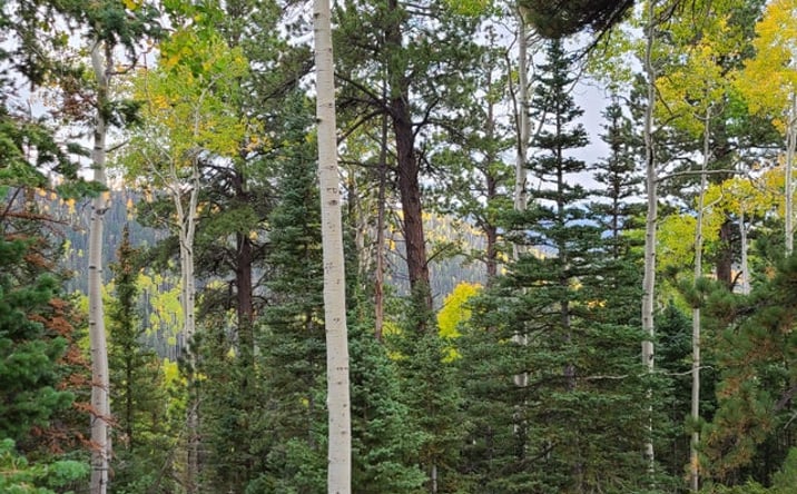 Pictures of Land property located at Ponderosa Rd. Lot 134 West Village, Beaver, UT 84713 for sales - image #1