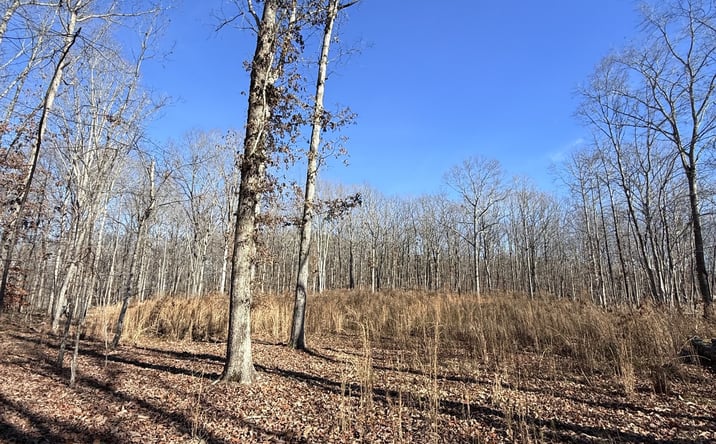 Pictures of Land property located at 0 Deer Wood Dr, Sewanee, TN 37375 for sales - image #1
