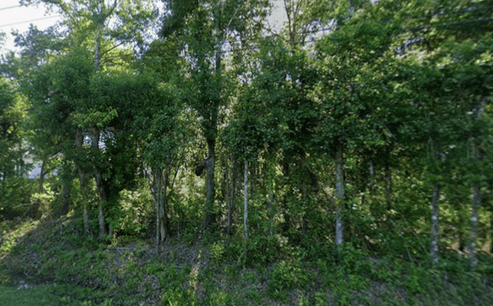 Pictures of Land property located at 0 State Hwy 181, Fairhope, AL 36532 for sales - image #1