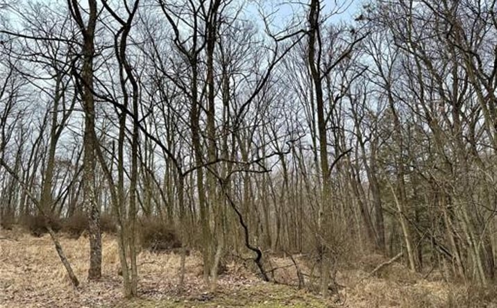 Pictures of Land property located at TBD McHendry St, Weirton, WV 26062 for sales - image #1