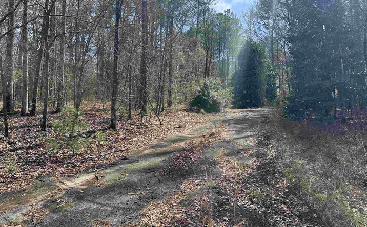 Pictures of Land property located at 0 Dearmanville Road, Anniston, AL 36207 for sales - image #1