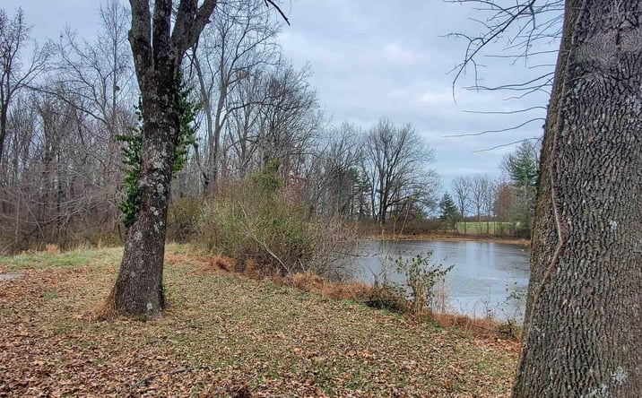 Pictures of Land property located at DELAWARE Road, Carbondale, IL 62901 for sales - image #1