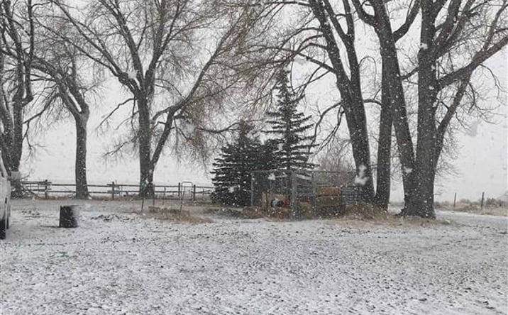 Pictures of Multifamily property located at 407 Diamond Basin Rd, Cody, WY 82414 for sales - image #1