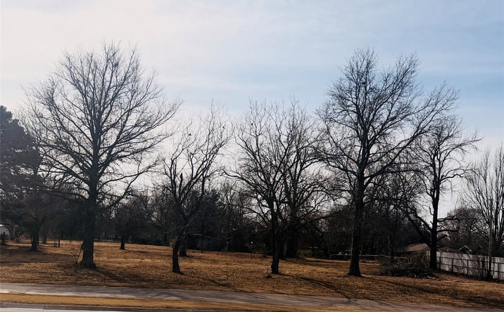 Pictures of Land property located at 2807 Arlington Street, Ada, OK 74820 for sales - image #1